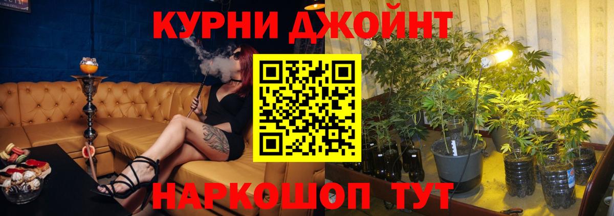 Канабис OG Kush  Каннабис индика  Хасавюрт  Вход с VPN  Канабис сатива 